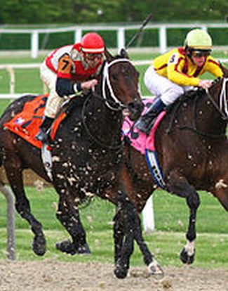 horse racing arapahoe park