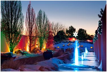 blossoms of light denver botanic gardens