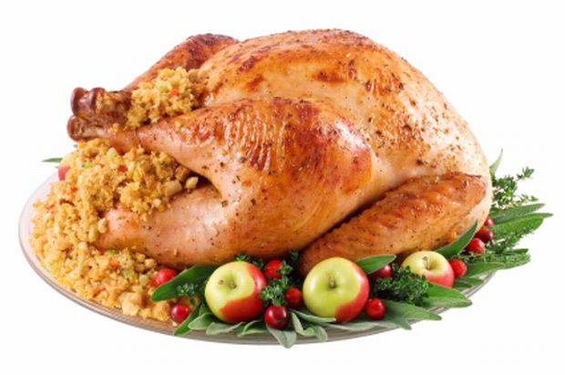 thanksgiving_turkey_dinner.jpg