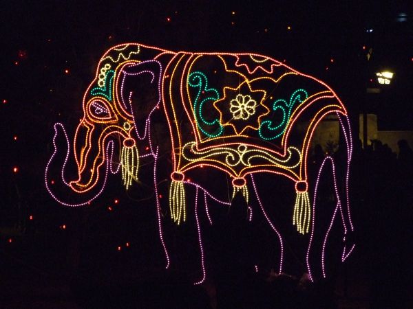 zoo lights elephant