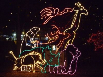denver zoo zoolights neon animal lights