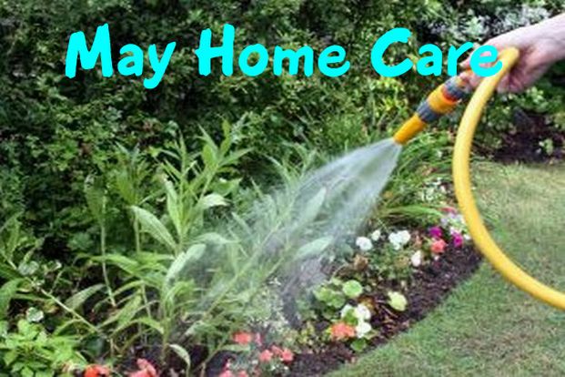may home care and maintenance watering lawn and garden