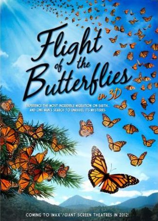 flight of the butterflies