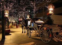 things to do denver co december