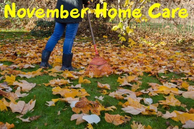 raking leaves november