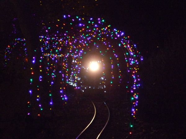 zoo lights train