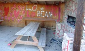 graffiti spray paint damage