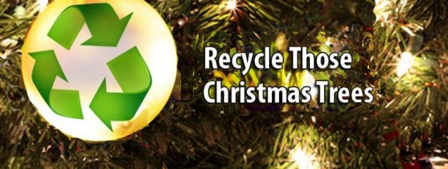 Free Christmas Tree Recycling Locations Metro Denver Suburbs