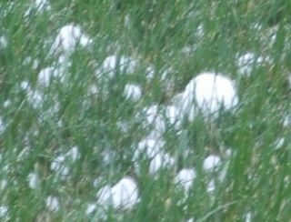 hail stones colorado lawn